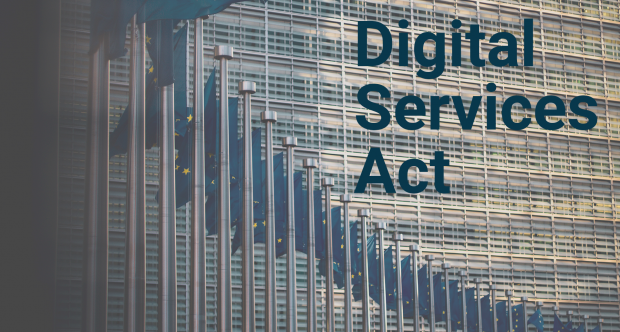 EU Fahnen im Halbkreis und Digital Services Act als Schrift