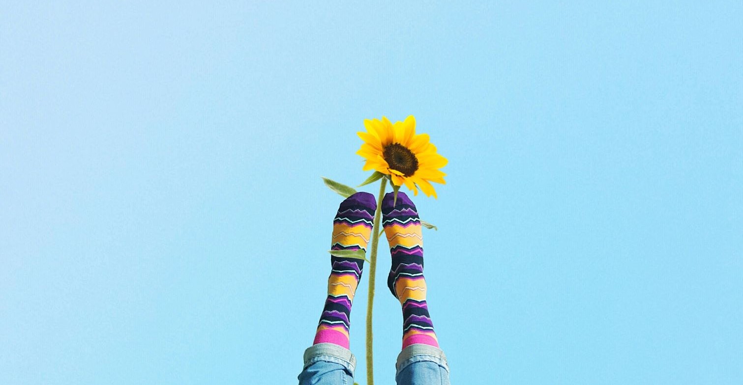 Füße in bunten Socken strecken sich in den Himmel und halten eine Sonnenblume.