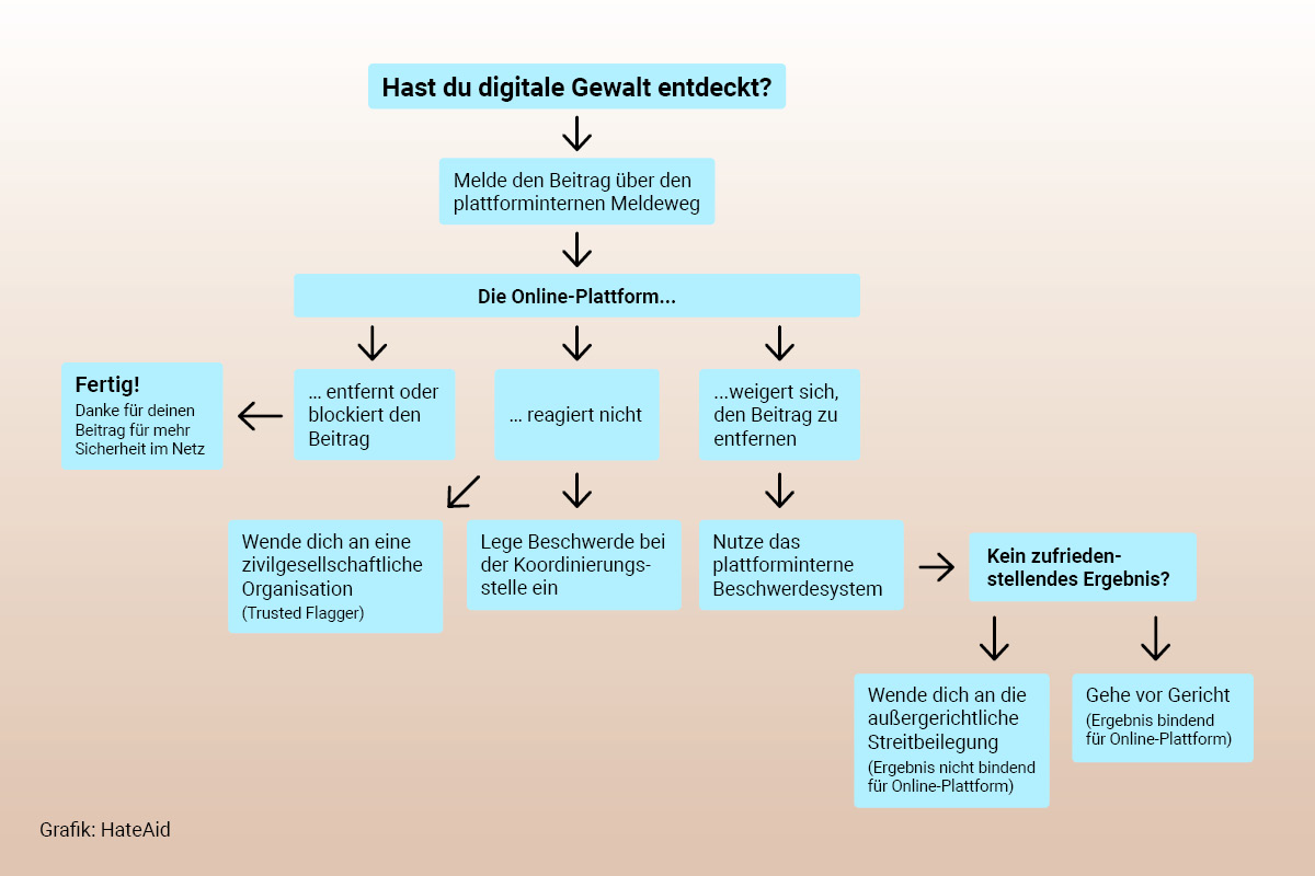 DSA User Guide: Abfolge der neuen Meldewege auf sozialen Plattformen