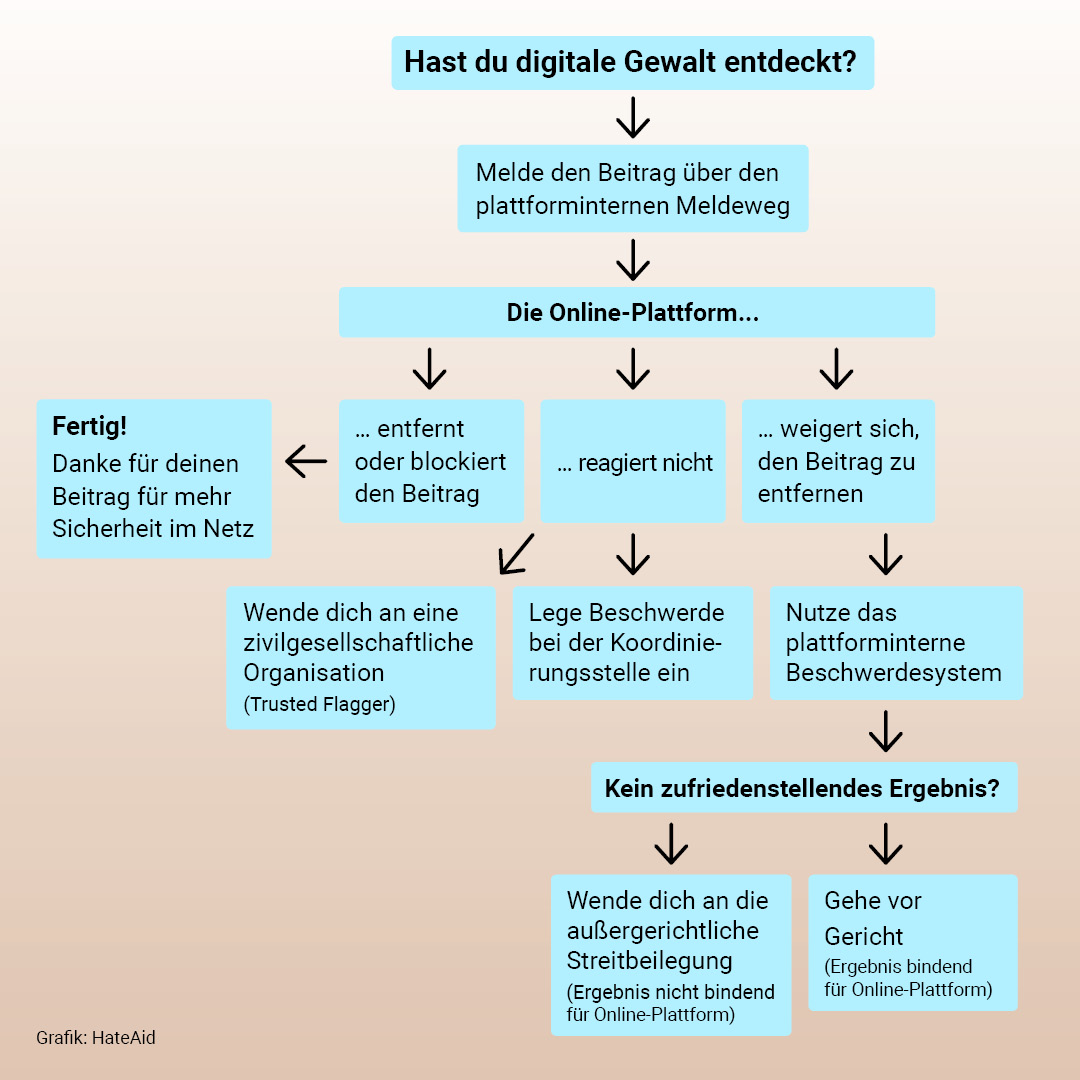 DSA User Guide: Abfolge der neuen Meldewege auf sozialen Plattformen