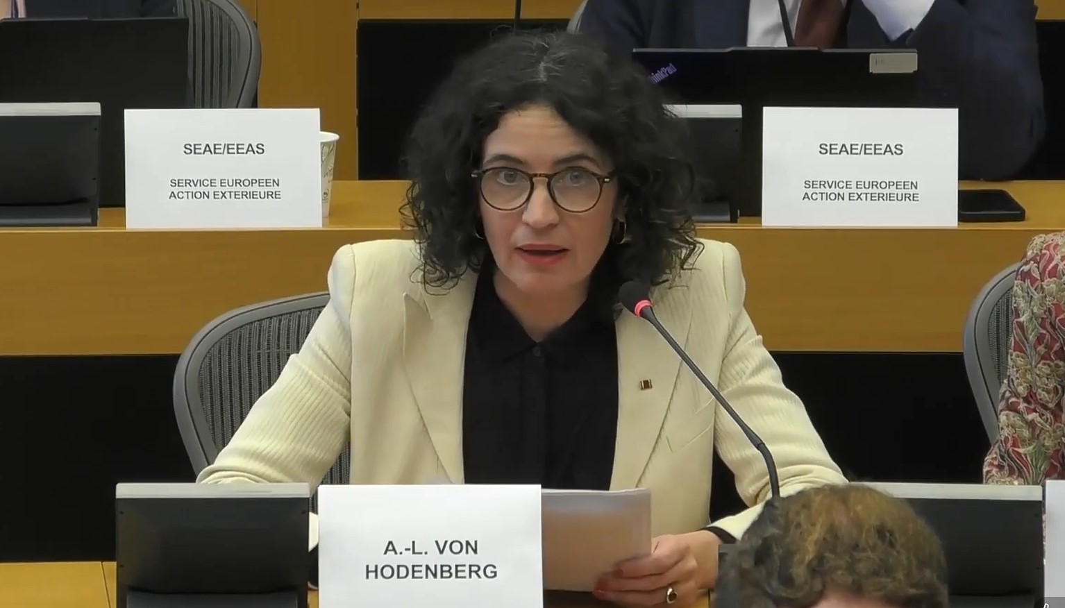Portrait Anna-Lena von Hodenberg. Rede beim IMCO-Ausschuss