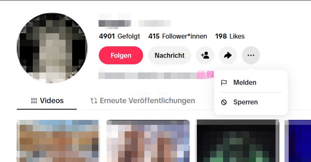 Hasskommentare und digitale Gewalt melden. Zu sehen ist ein verpixeltes Profil mit dem Optionsmenü "Melden"